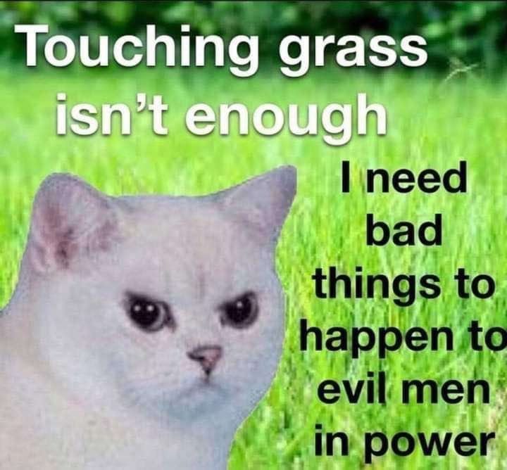 Touching grass isn't enough